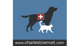 05_Charlestown Veterinary Hospital