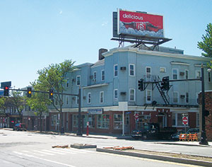 East Somerville residents have been spotting more rats than ever lately. Bigger ones, too.